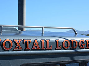 Foxtail 98